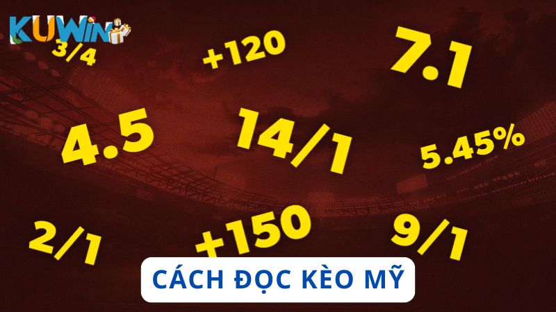 Hướng dẫn cách đọc kèo Mỹ (US) dễ hiểu