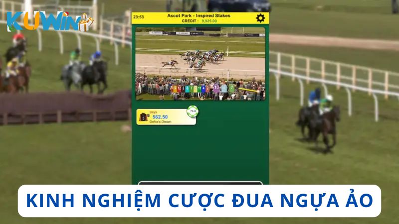 Kinh nghiệm cược Đua ngựa mô phỏng trực tuyến